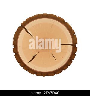 Tree stump, sezione trasversale di albero, testurizzato, dettagliato isolato su sfondo bianco in stile cartoon piano. Tagliare il tronco rotondo con gli anelli. Illustrazione vettoriale Illustrazione Vettoriale