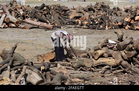 Allahabad, Uttar Pradesh, India. 23 Apr 2021. Prayagraj: Un lavoro di smistamento del legno per la cremazione a Daraganj Ghat a Prayagraj venerdì 23 aprile 2021. Credit: Prabhat Kumar Verma/ZUMA Wire/Alamy Live News Foto Stock