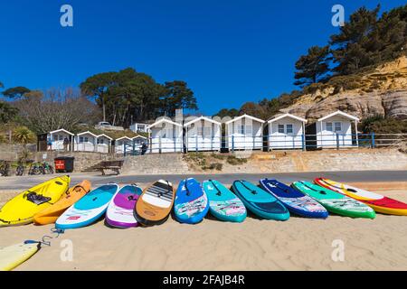 Tavole da surf colorate, tavole da surf, con capanne sulla spiaggia a Branksome Dene Chine, Poole, Dorset UK in una calda giornata di sole nel mese di aprile Foto Stock