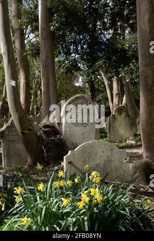 Londra, UK- Marzo 2021: Lapidi in Highgate Cemetery West Foto Stock