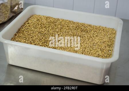 Texture con 4 tipi di malto d'orzo per la birra, pale ale mal un nero. La  sfumatura del colore Foto stock - Alamy