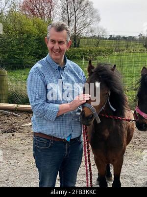 Il ministro dell'Agricoltura dello Stormont, Edwin Poots, con uno dei pony presso la fattoria di Ashleigh Massey vicino a Ballygowan, Co Down. I quattro pony sono stati detenuti al porto di Belfast per quasi cinque settimane a causa di problemi con la documentazione del protocollo dell'Irlanda del Nord, ma sono stati rilasciati ai loro nuovi proprietari. Data immagine: Venerdì 23 aprile 2021. Foto Stock