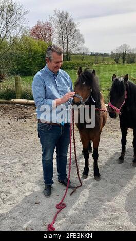 Stormont Ministro dell'Agricoltura, Edwin Poots, con pony presso la fattoria Ashleigh MasseyÕs vicino a Ballygowan, Co Down. I quattro pony sono stati detenuti al porto di Belfast per quasi cinque settimane a causa di problemi con la documentazione del protocollo dell'Irlanda del Nord, ma sono stati rilasciati ai loro nuovi proprietari. Data immagine: Venerdì 23 aprile 2021. Foto Stock