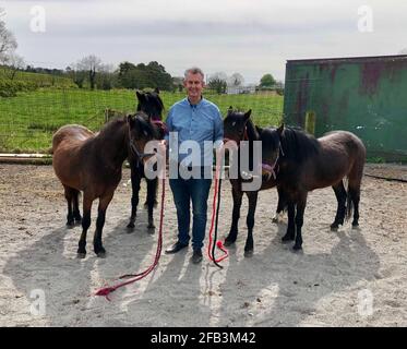 Il ministro dell'Agricoltura dello Stormont Edwin Poots con pony presso la fattoria di Ashleigh Massey, vicino a Ballygowan, Co Down. I quattro pony sono stati detenuti al porto di Belfast per quasi cinque settimane a causa di problemi con la documentazione del protocollo dell'Irlanda del Nord, ma sono stati rilasciati ai loro nuovi proprietari. Data immagine: Venerdì 23 aprile 2021. Foto Stock