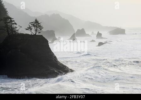 Sea Stack lungo la costa dell'Oregon Foto Stock