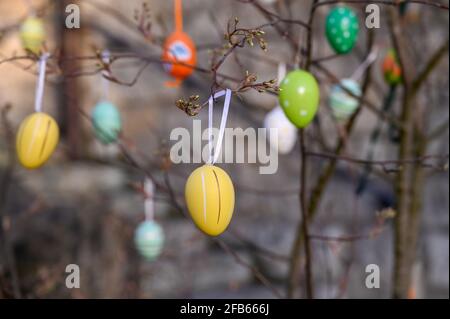 Uova di Pasqua colorate appese su un albero da vicino Foto Stock