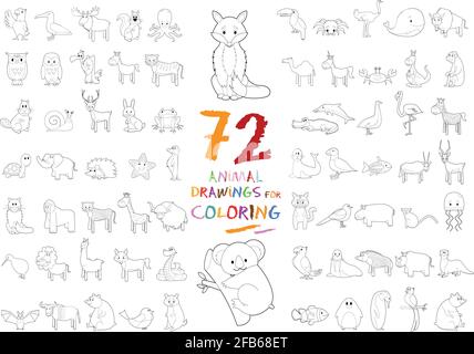 Set di 72 disegni di animali da colorare Illustrazione Vettoriale