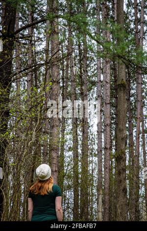 Vista posteriore di una donna con testa rossa in un cappello bianco guardando in su ad una tribuna degli alberi di pino Foto Stock