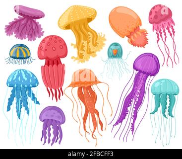 Meduse oceaniche cartoon. Meduse marine sott'acqua, mare oceano creature trasparenti vettore isolato illustrazione insieme. Carino meduse animali Illustrazione Vettoriale