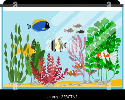 Pesci cartoon in acquario. Illustrazione vettoriale della vasca di pesce d'acqua salata o d'acqua dolce. Pesci d'acqua di colore tropicale, pesci di colore marino tropicale Illustrazione Vettoriale