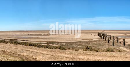 Panorama cucito della spiaggia di Snettisham sulla riva est del Wash a bassa marea. Resti di vecchio molo di legno. Foto Stock