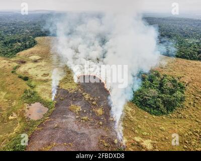Gabon, veduta aerea di un incendio boschivo controllato Foto Stock