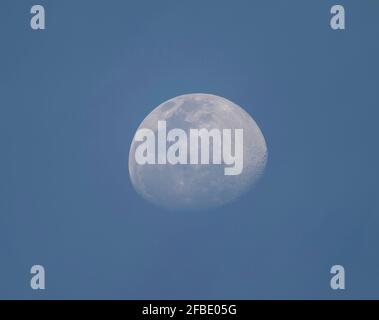 Londra, Regno Unito. 23 aprile 2021. Una Luna gibbosa al 82% in cera viene catturata attraverso un telescopio astronomico in cielo azzurro a metà serata su Londra. Credit: Malcolm Park/Alamy Live News. Foto Stock