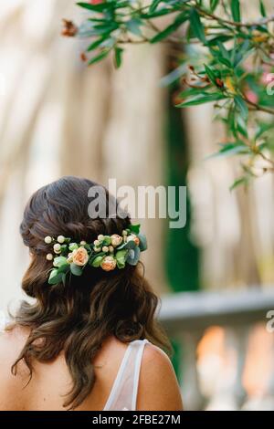Una sposa con un ornamento di fiori naturali nei suoi capelli si trova sotto un oleandro in fiore, vista posteriore Foto Stock