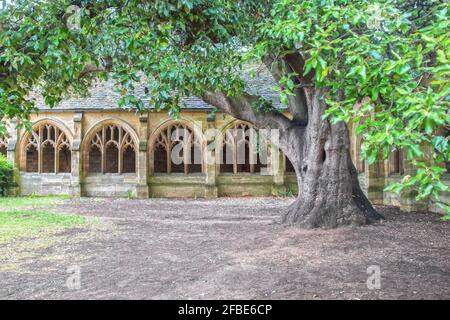 Antico chiostro di Oxford, Regno Unito, con alberi di duecento anni d'estate. Foto Stock