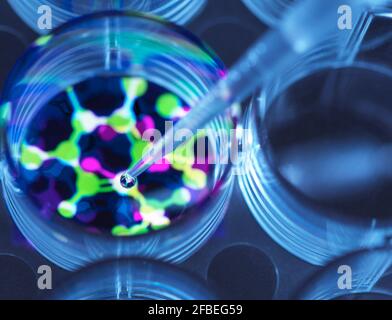 Immagine concettuale per illustrare la biotecnologia, lo scienziato pipettando la formula chimica in una piastra multipozzello durante un esperimento Foto Stock