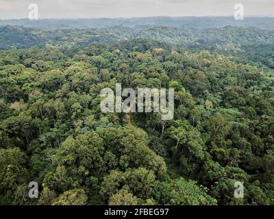 Gabon, veduta aerea della lussureggiante giungla verde del Parco Nazionale di Lope Foto Stock