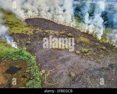 Gabon, veduta aerea di un incendio boschivo controllato Foto Stock