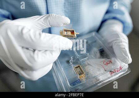Mani di scienziato maschile disimballare chip laser Foto Stock