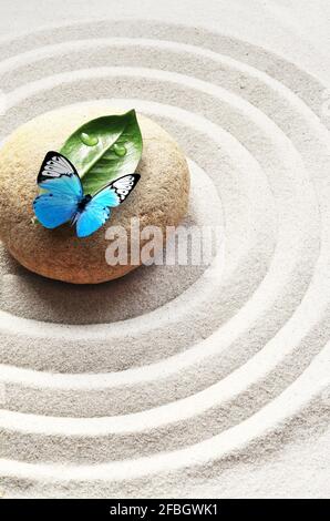 Sabbia, cerchi e pietra. Foglia verde e farfalla. Concetto Zen e spa. Foto Stock