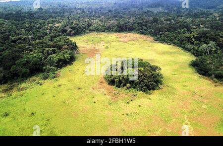 Gabon, veduta aerea della lussureggiante giungla verde del Parco Nazionale di Lope Foto Stock