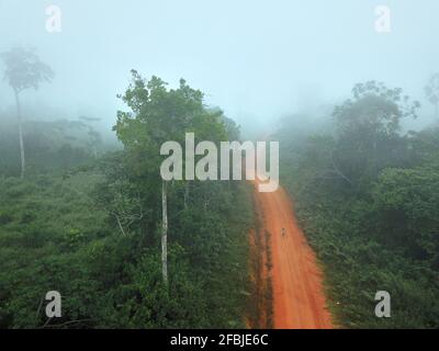 Gabon, Mikongo, veduta aerea della strada sterrata che taglia attraverso la giungla nebbiosa Foto Stock