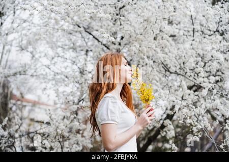 Giovane donna che odora il fiore giallo sotto l'albero di mandorle Foto Stock