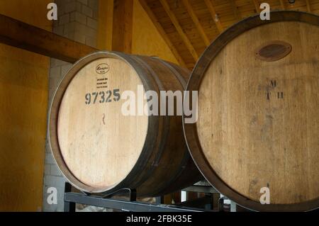 Botti di vino alla Godfrey-Brownell Winery, Glenora, British Columbia Foto Stock