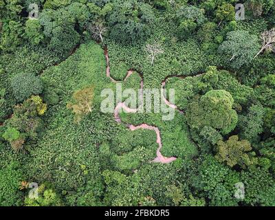 Gabon, Mikongo, vista aerea del fiume tortuoso nella verde e lussureggiante giungla Foto Stock