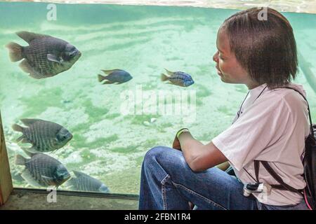 Miami Florida,MetroZoo Metro Zoo Droga Free Youth in Town,DFYIT teen teenager teenager studenti adolescenti,classe Field Trip Black girl fish Foto Stock