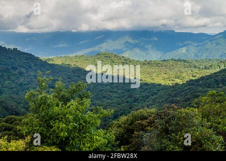 Foresta di nubi che copre Reserva Biologica Bosque Nuboso Monteverde, Costa Rica Foto Stock