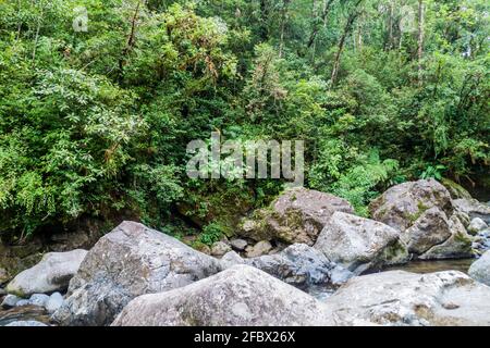 Rapide del fiume Rio hornito e una giungla a Panama Foto Stock