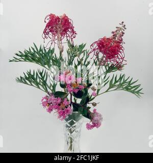 Bella mostra floreale di Rosa Lantana e Rosso Grevillea banksii fiorisce insieme con le loro foglie verdi vicino in su in un isolamento in vaso di cristallo Foto Stock