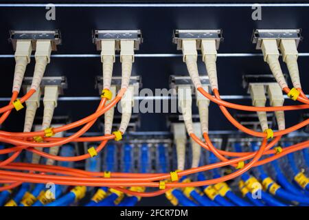 Rete via cavo, cavo in fibra ottica collegato alla porta switch nella sala server, gestione di rete concettuale Foto Stock