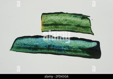dipinti a mano originali capolavori impressionisti pennellate, rapido tocco dell'arte pittura a olio, sfondo colorato astratto per il design Foto Stock