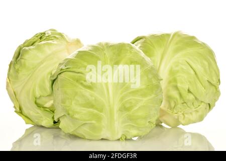 Tre fragranti teste di cavolo verde brillante, primo piano, su sfondo bianco. Foto Stock