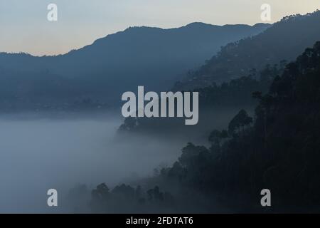 Vista panoramica su strati di montagne con alberi di pino loro e nebbia e nebbia si stabilirono nella valle Foto Stock