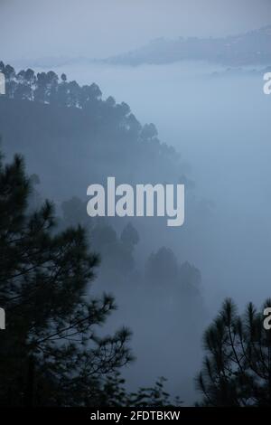 Strati di montagne con alberi di pino su di loro e nebbia si stabilì nella valle e nella foresta Foto Stock