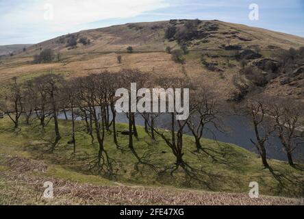 Sentiero della valle di Elan con serbatoi di epoca vittoriana e segni bilingue In gallese/inglese a Powys, Galles, Regno Unito Foto Stock