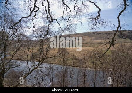 Sentiero della valle di Elan con serbatoi di epoca vittoriana e segni bilingue In gallese/inglese a Powys, Galles, Regno Unito Foto Stock