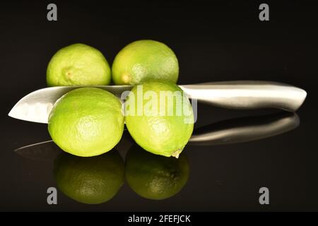 Quattro lime succose verde brillante con un coltello metallico, primo piano, su sfondo nero. Foto Stock