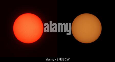 Londra, Regno Unito. 24 aprile 2021. Il sole fotografò in modo sicuro con un filtro solare a banda stretta (a sinistra) per rivelare le prominenze giganti che salgono dal bordo della stella e un cuneo di luce bianca solare (a destra) per rivelare il gruppo di spot solari attivi in espansione 2818 (a sinistra del centro) e il gruppo di svenimenti ar2816 (a destra del centro). Entrambe le immagini sono allineate. Credit: Malcolm Park/Alamy Live News Foto Stock