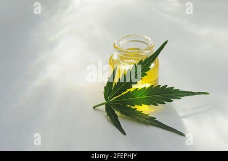 Olio di marijuana, cbd ricreazione. Primo piano su foglie di cannabis fresca, isolate su sfondo bianco. Relax a casa, terapia del passatempo. Medicina alternativa. Foto Stock