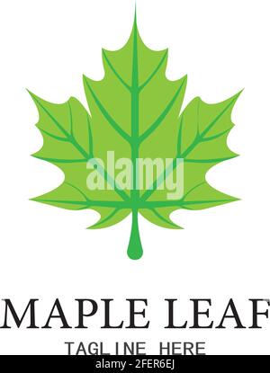 Maple Leaf illustrazione vettoriale del modello di progettazione Illustrazione Vettoriale