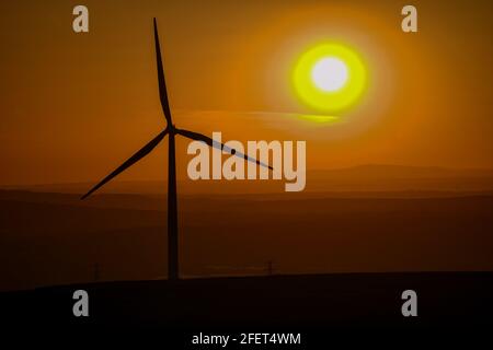 Un alone appare intorno al sole mentre si tramonta dietro le nuvole di cirrus vicino a Swansea, Galles. Il raro effetto è causato da uno strato sottile della nuvola, che è costituito da cristalli di ghiaccio, che si muove attraverso il cielo, e ha portato una fine magica alla "Giornata della Terra", che è stata celebrata in tutto il mondo per dimostrare il supporto ambientale per la protezione dell'ambiente. Foto Stock