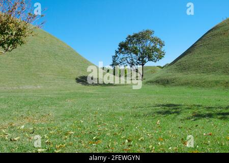 Dadereungwon Tumuli complesso di parco in Gyeongju Corea del Sud Foto Stock