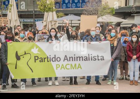 Protesta convocata dalla Free Fox Association contro la sperimentazione animale l'associazione per i diritti degli animali Free Fox si è concentrata contro la sperimentazione animale nella Plaza de Jacinto Benavente, a Madrid. Ogni anno, più di 100 milioni di animali non umani vengono torturati e uccisi in tutto il mondo per esperimenti e altri scopi scientifici, compreso l'insegnamento. Secondo i dati ufficiali, nello Stato spagnolo sono stati utilizzati circa 800,000 animali. Gli animali da laboratorio sono utilizzati principalmente in studi medici e veterinari, nell'industria chimica e cosmetica; Foto Stock