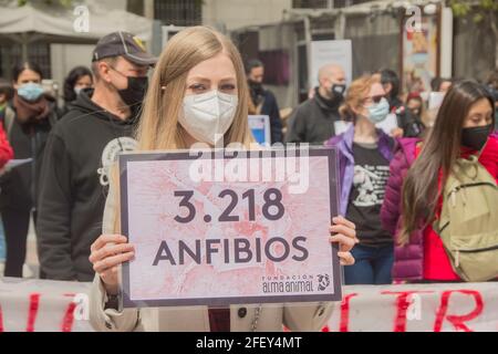 Protesta convocata dalla Free Fox Association contro la sperimentazione animale l'associazione per i diritti degli animali Free Fox si è concentrata contro la sperimentazione animale nella Plaza de Jacinto Benavente, a Madrid. Ogni anno, più di 100 milioni di animali non umani vengono torturati e uccisi in tutto il mondo per esperimenti e altri scopi scientifici, compreso l'insegnamento. Secondo i dati ufficiali, nello Stato spagnolo sono stati utilizzati circa 800,000 animali. Gli animali da laboratorio sono utilizzati principalmente in studi medici e veterinari, nell'industria chimica e cosmetica; Foto Stock