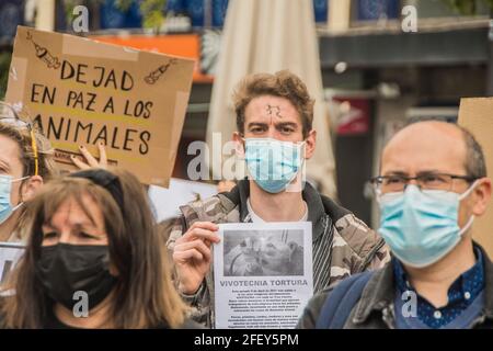 Protesta convocata dalla Free Fox Association contro la sperimentazione animale l'associazione per i diritti degli animali Free Fox si è concentrata contro la sperimentazione animale nella Plaza de Jacinto Benavente, a Madrid. Ogni anno, più di 100 milioni di animali non umani vengono torturati e uccisi in tutto il mondo per esperimenti e altri scopi scientifici, compreso l'insegnamento. Secondo i dati ufficiali, nello Stato spagnolo sono stati utilizzati circa 800,000 animali. Gli animali da laboratorio sono utilizzati principalmente in studi medici e veterinari, nell'industria chimica e cosmetica; Foto Stock