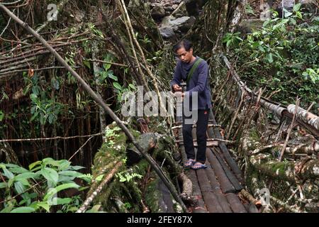 Abitanti del villaggio impegnati nel lavoro di manutenzione del ponte radicolare vivente a due piani, nel villaggio di Nongriat, nello stato dell'India nord-orientale Meghalaya. I ponti radicati viventi, creati dai membri della tribù Khasi che li hanno coltivati da alberi di gomma, sono nativi della regione. Il ponte radicolare a due piani, è il più famoso vicino a Sohra. Foto Stock